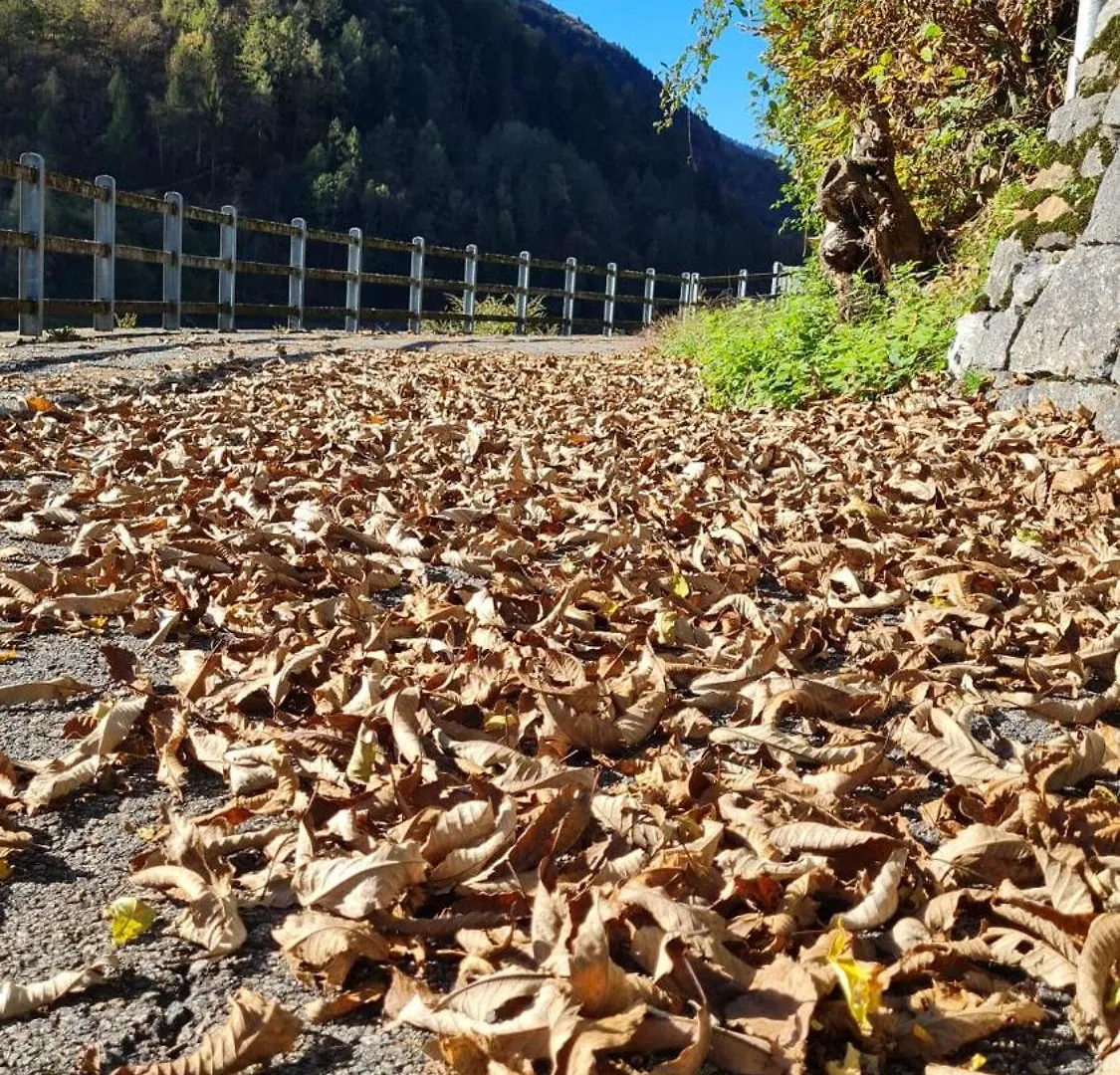Holiday home Miralago Casa Vacanze Villa di Chiavenna