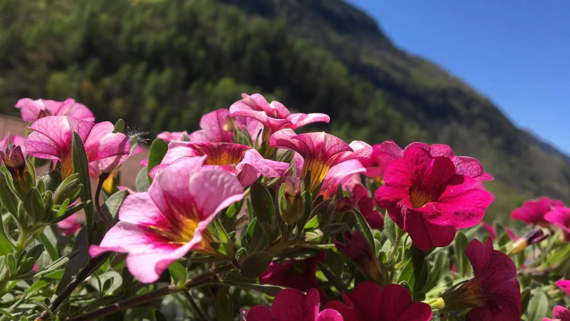 Miralago Casa Vacanze Villa di Chiavenna Italy